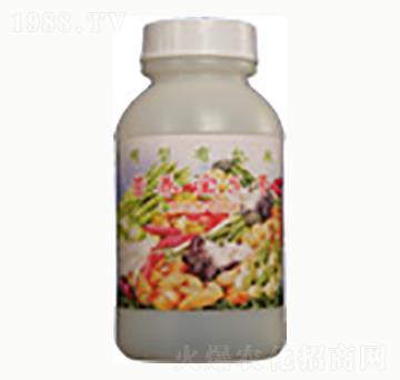 �I�B(y��ng)��5̖-�n����