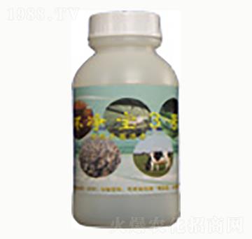 �h(hu��n)��3̖(h��o)-�n����