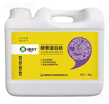 ���ص�����-��СѾ-�_(k��i)������