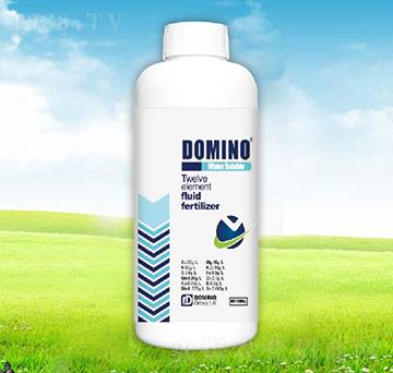 ʮ��Ԫ�����w��-�����Z-����