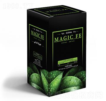 Magic FE Box-�ָ���