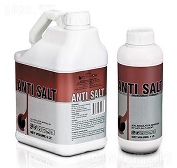 Anti Salt-�ָ���
