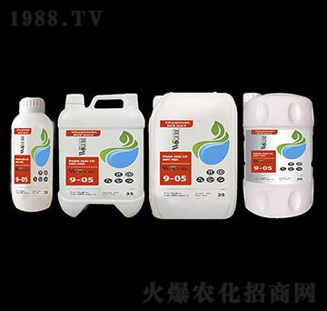 �~����9-05-�ָ���