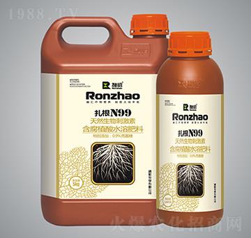 ����N99-�����r(n��ng)�I(y��)