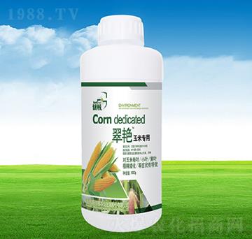 ���G���׌�(zhu��n)��-�μѸ�