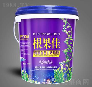 �����~���ם�sҺ-������-�͌����r