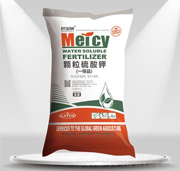 �w�������-�͌����r(n��ng)