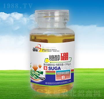 �Ǵ���-�μѸ�