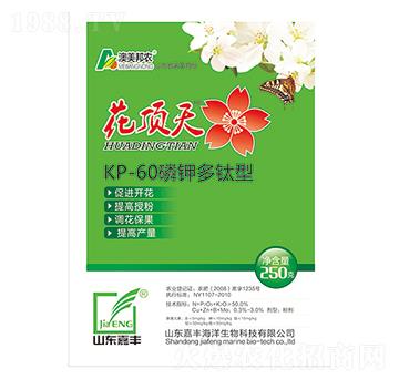 ��⛶����-�����-���S