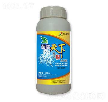 ΢�������-���R����-��������