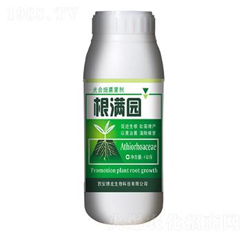 ��ϼ�(x��)������-���M�@-��������