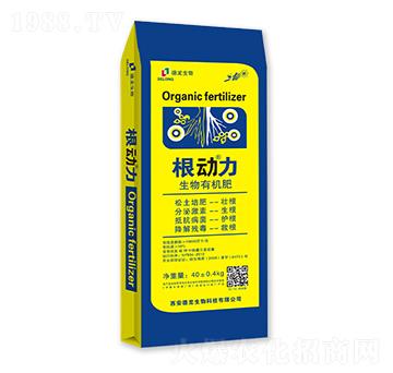 �����ЙC(j��)��-������-��������