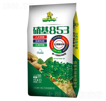 ����853���ܷ�19-8-11-���Sţ-�P�����d