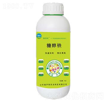 �Ǵ��F-������-������