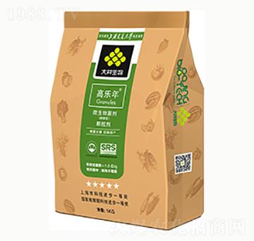 �ߘ���΢������w����-������