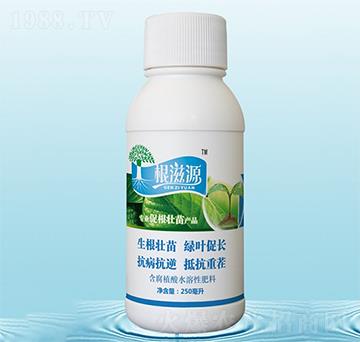 ����Դ-�{(l��n)���r(n��ng)��