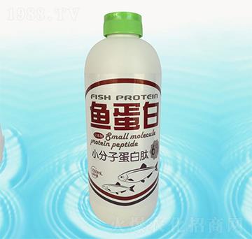 �~����-�{(l��n)���r(n��ng)��