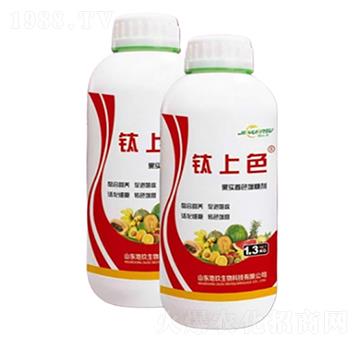 ���ɫ-�ؾ�����