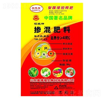 48%�������16-11-21-�W�¸�