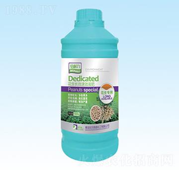 �����L(zh��ng)ЧҺ��-�|��Ӣ�Z