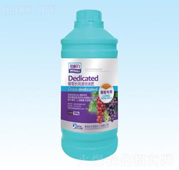 �����L(zh��ng)ЧҺ��-�|��Ӣ�Z