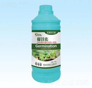 ��ѿ��-�|��Ӣ�Z