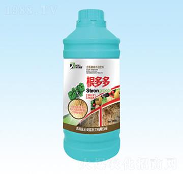 �����-�|��Ӣ�Z