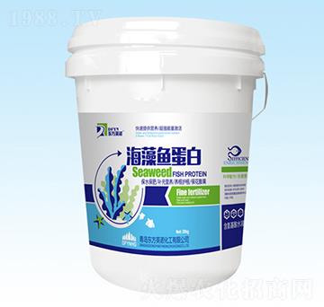 海藻魚蛋白-東方英諾