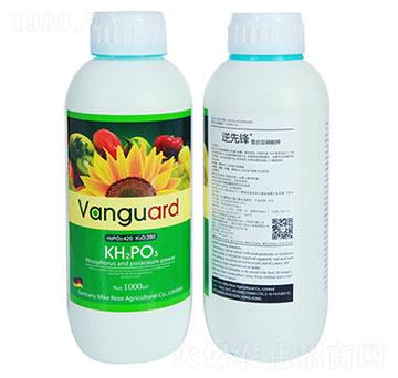 ���ρ������-��ɪ��