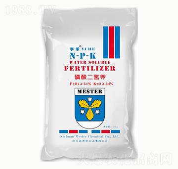 �����������-㑝�(r��n)����