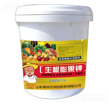 ����ֲ��ˮ�ܷ���-��������-�������