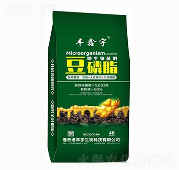 ����֬΢�������-�S����-�S������