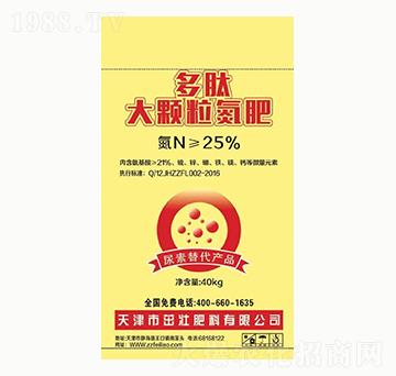 ���Ĵ��w������-�ѷ���