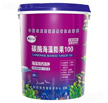 ̼ø�������100-������