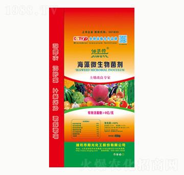 ����΢�������-ꖹ⻯