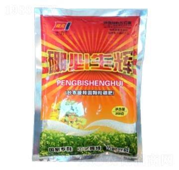 ���¾�ገA�w�����-������x-�����ʘI(y��)