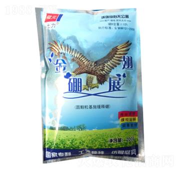 �A�w����ʩ�����-����չ��-�����ʘI(y��)