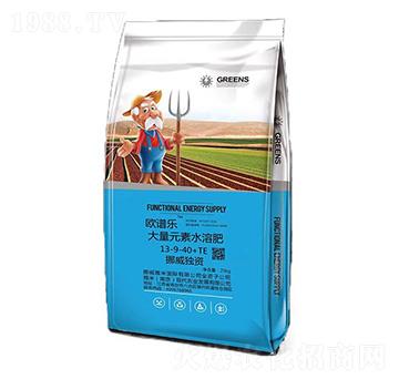 Ų����(d��)�Y����Ԫ��ˮ�ܷ�13-9-40+TE-�W�V��-����