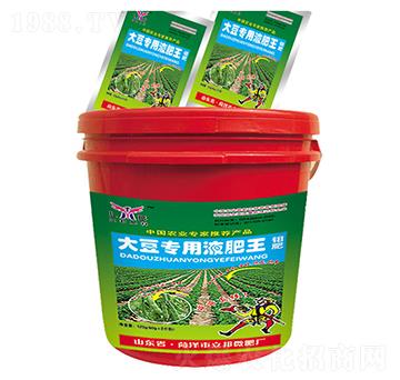 �󶹌���Һ����-��������