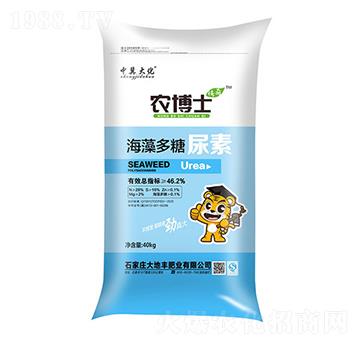 �����������-�r��ʿ-��������