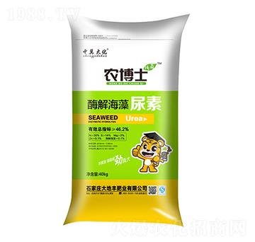 ø�⺣������-��������