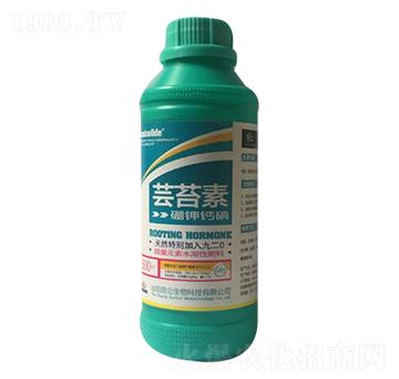 �|̦��-�����_(d��)