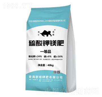 ������V��-�¸�