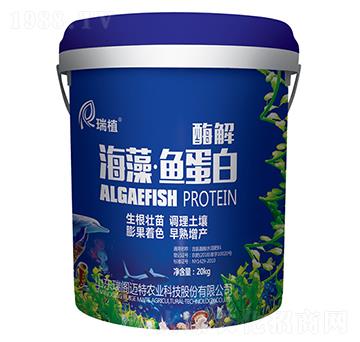 ø�⺣���~����-��ֲ-���w�~��