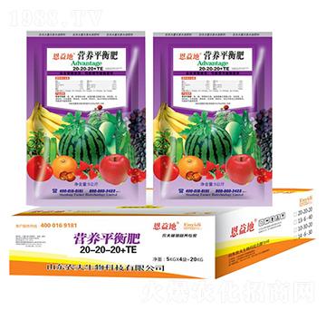 �I(y��ng)�B(y��ng)ƽ���20-20-20+TE-�����-�r(n��ng)��