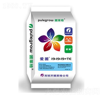 �M�ڸߝ�ȏͺϷ���19-19-19+TE-����-�ƺ�