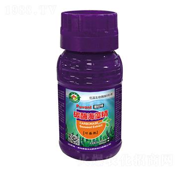 ̼ø���徫-������-�W���S