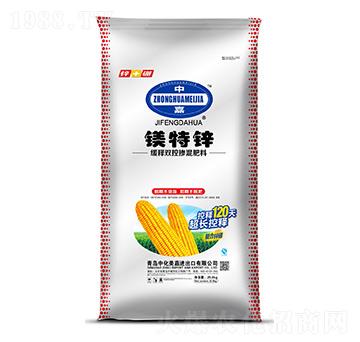 ����p�ؓ������-�V���\-�л�����