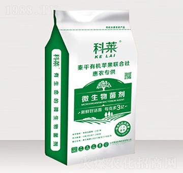 ΢�������-���R-��ؐ��