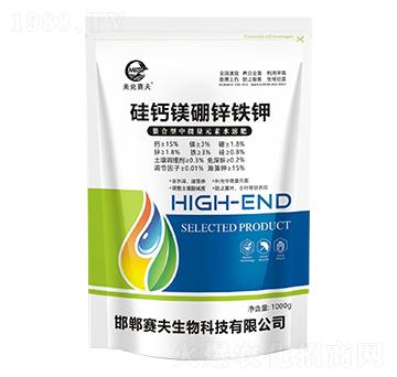 ���}�V���\�F�-����ِ��